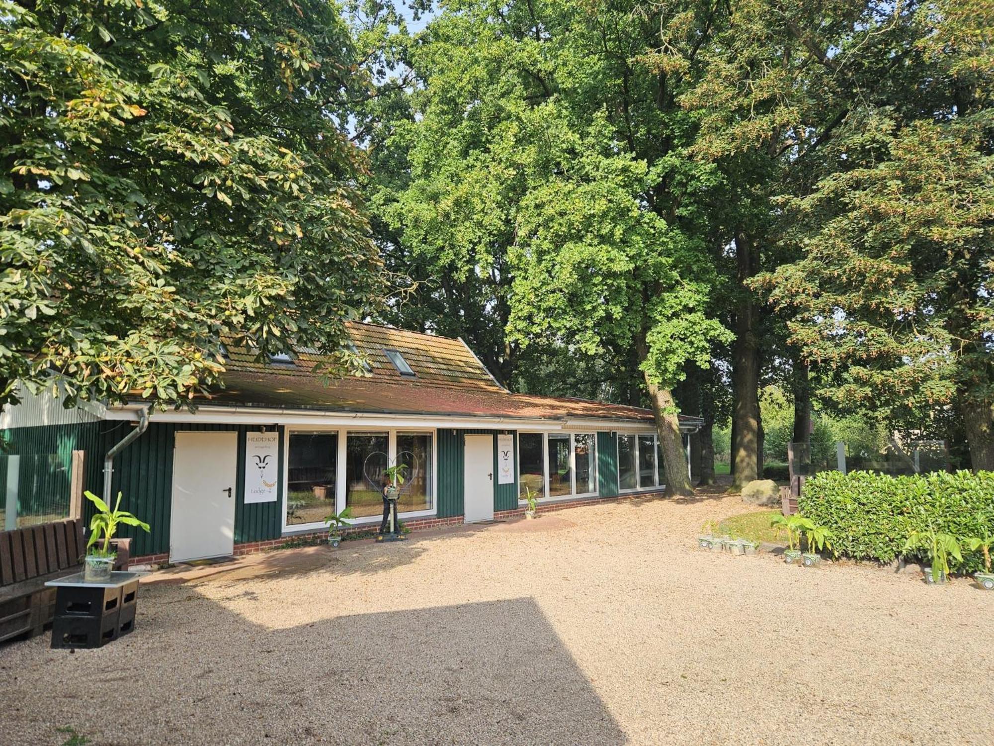 Ferienhaus Banana Lodge Bruchhausen-Vilsen Exteriör bild
