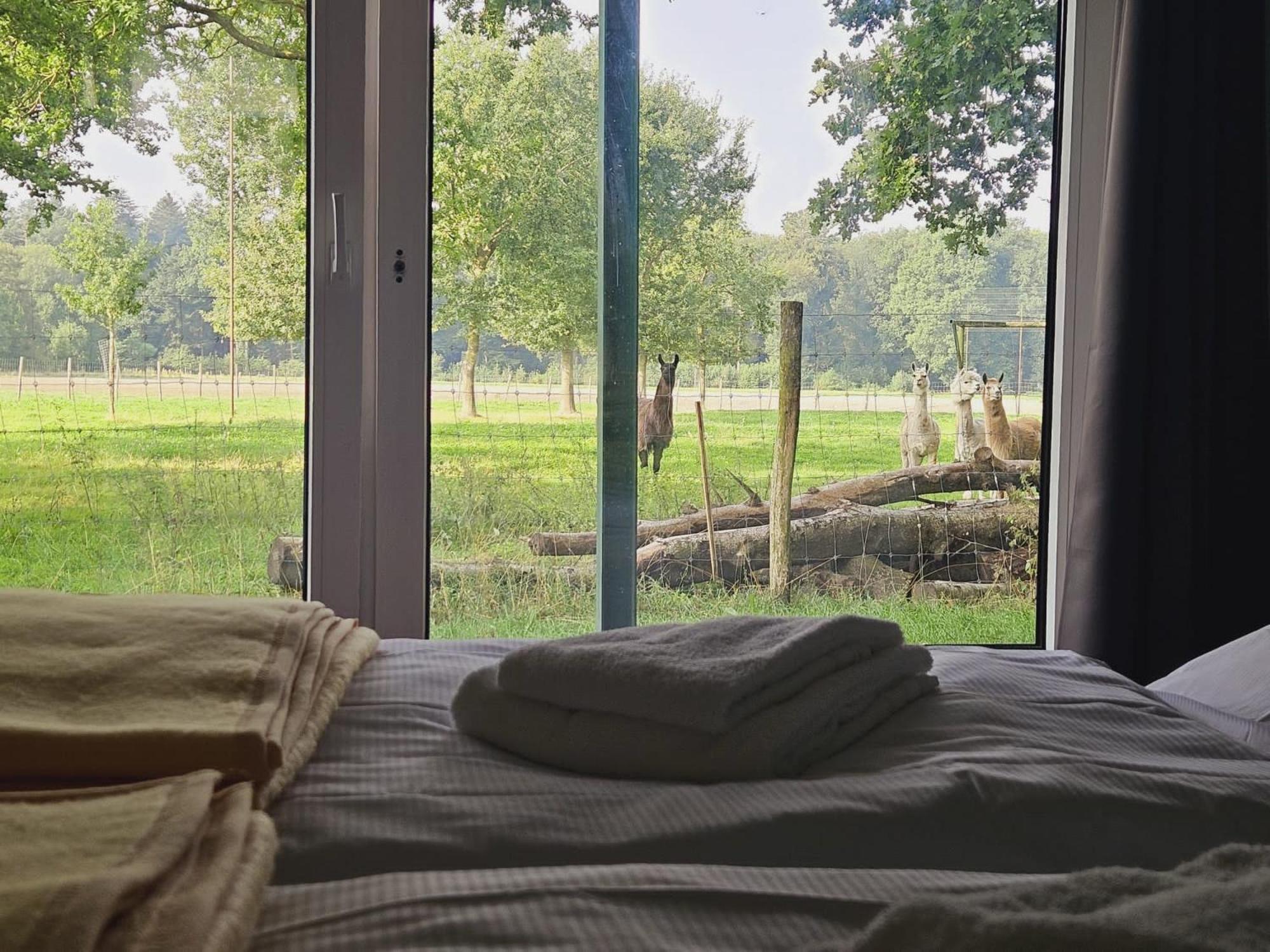 Ferienhaus Banana Lodge Bruchhausen-Vilsen Exteriör bild