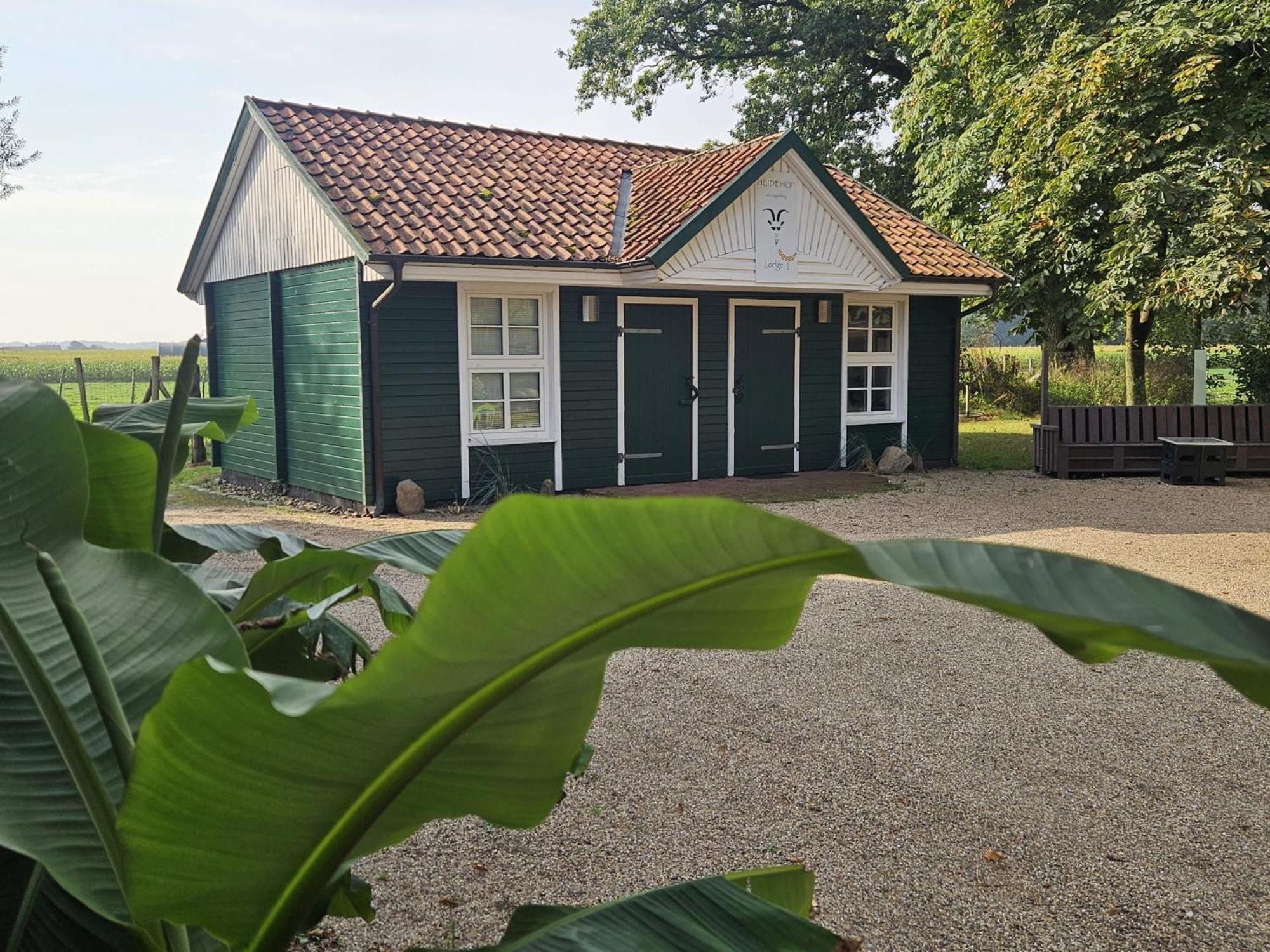 Ferienhaus Banana Lodge Bruchhausen-Vilsen Exteriör bild